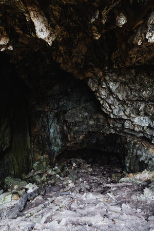 Hidden underground refuge, Secret cavern shows natural ruggedness, Ancient concealed chamber reveals earthy textures and shadows, Enigmatic subterranean sanctuary covered with mossの写真素材
