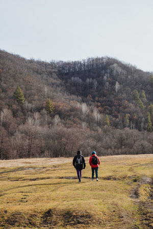 Adventure through grassy landscape, Traversing expansive valleys and wooded ridges together, Group of explorers navigating through vibrant meadows toward forested mountain areasの写真素材