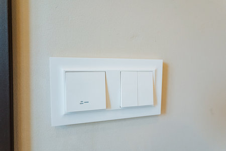 modern double light switches on neutral wall, minimalist corridor setting with clean matte finish,...