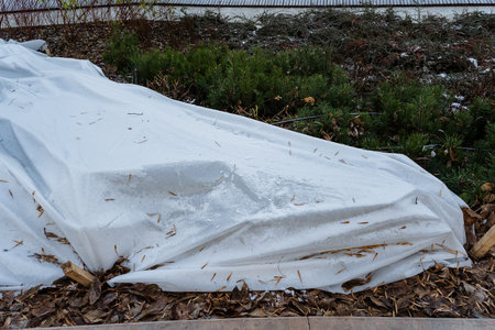 white protective fabric stained with leaves and dirt, close texture shot showing threads, weave and small tears, damp organic debris, frayed edges and weathered surface under gray skyの写真素材