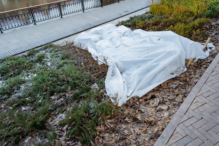 pathway beds covered with frost and white fabric, stakes holding material along paved edge, nearby railing and leaf litter, soft morning light and quiet urban park maintenance sceneの写真素材
