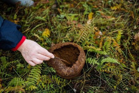 hands hold soilfilled wooden bowl, forager examines soil contained in wooden bowl with ferns nearbyの写真素材