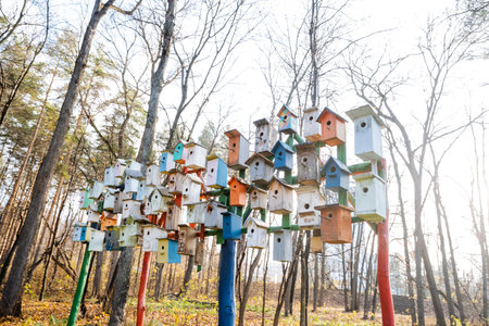 handmade colorful bird nesting boxes designed for seasonal decoration and outdoor communityの写真素材