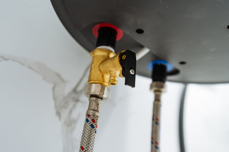 Brass Safety Valve With Hoses, Highresolution Visualization Of Safety Valve With Labels And Features, Comprehensive Depiction Of Safety Valve With Braided Hose And Clear Detailed Labelsの写真素材