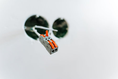 Ceiling Wiring Connection, Suspended Connector And Wiring With Bright Plastic Terminal Fittings,...