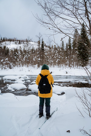 Standing Observer In Yellow Jacket Watching Slow River, Vertical View Emphasizes Tall Pines And Distant Snowy Hillside, Quiet Winter Atmosphere, Backpack Visible, Preparation For Backcountry Routeの写真素材