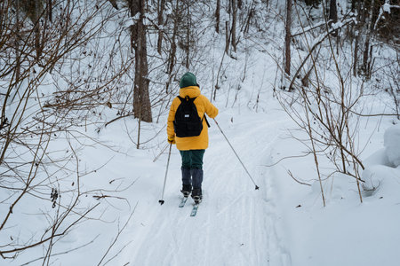 Skier Gliding Through Snowy Woods Trail, Focused Nordic Training Session On Groomed Track, Yellow Jacket And Poles Cutting Through Powder, Tall Pines And Quiet Winter Atmosphere Emphasize Effortの写真素材