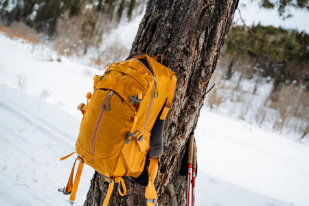 Yellow Backpack Strapped To Tree Trunk Closeup, Buckle And Zipper Detail With Fabric Texture, Foam Padding And Insulation Visible, Trekking Poles And Red Kit Blurred In Background, Prepared Gear Vibeの写真素材