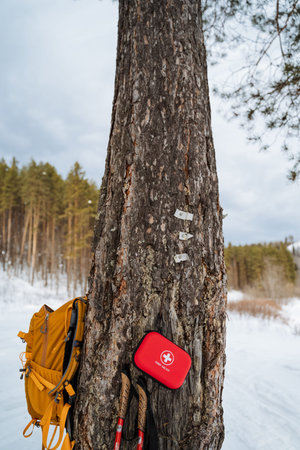 Camp Equipment Resting In Winter Woodland Scene. Ski Trip Preparation Amidst Snowy Pine Forest Environment. Outdoor Enthusiast Pauses During Mountain Trek To Review Gear And Plan Routeの写真素材