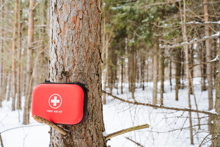 Red First Aid Kit Attached To Tree Trunk In Snowy Forest, Bright Case Contrasts With Bark And White...