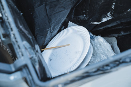 Discarded Plastic Plate In Trash Bin Under Snow, Wooden Stirrer Protruding From Black Liner,...