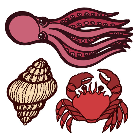 Marine inhabitants. Octopus, crab and shellfish. Isolated objects. Vector Image.のイラスト素材