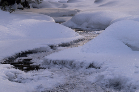 Winter adventures. Creek in the snow. Carpathians. Ukraine.の写真素材