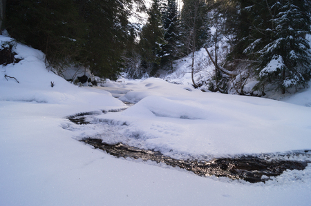 Winter adventures. Creek in the snow. Carpathians. Ukraineの写真素材