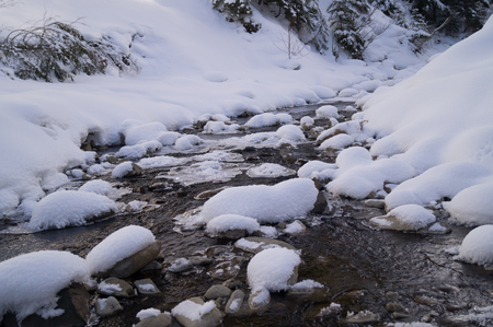 Winter adventures. Creek in the snow. Carpathians. Ukraine.の写真素材