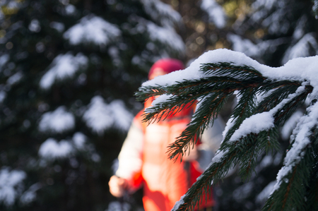 Winter adventures. Hike in the forest. Carpathians. Ukraine.の写真素材