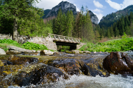 Dolina Koscieliska. Tatransky narodny park. Vysoke Tatry. Poland.の写真素材