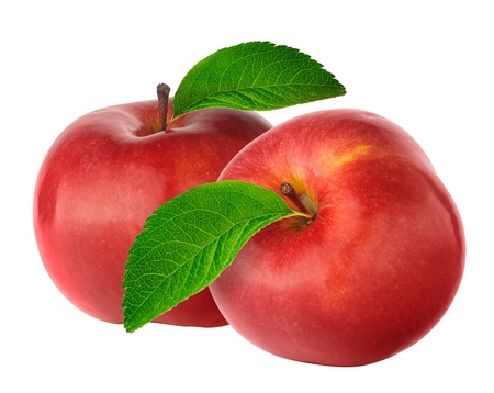 Two red apples with leavesの写真素材