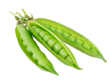 Sweet green peas in closeup の写真素材