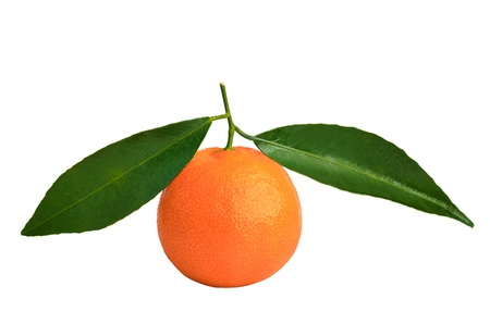  tangerine with green leafの写真素材