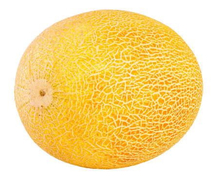Ripe cantaloupe isolated on a white backgroundの写真素材