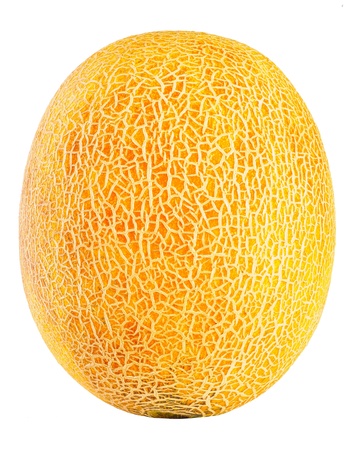 Ripe cantaloupe isolated on a white backgroundの写真素材