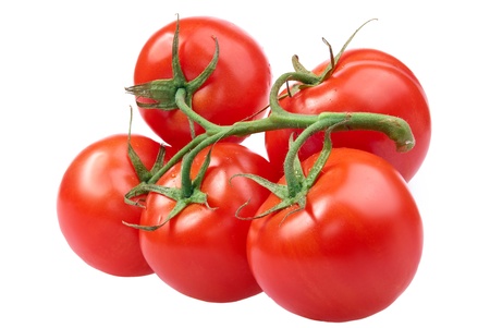 Closeup of tomatoes on the vine isolated on whiteの写真素材