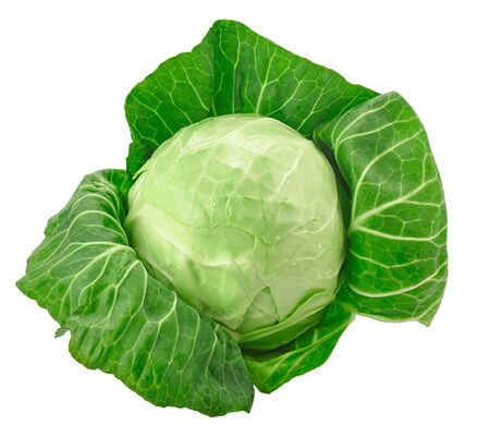Green cabbage isolated on white backgroundの写真素材