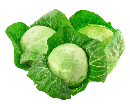 Green cabbage isolated on white backgroundの写真素材