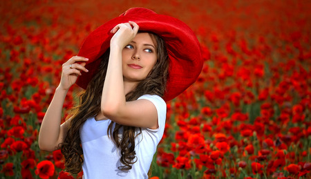 beautiful girl in a poppy field at sunsetの写真素材