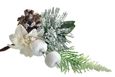 Christmas evergreen spruce tree with fresh snow isolatedの写真素材