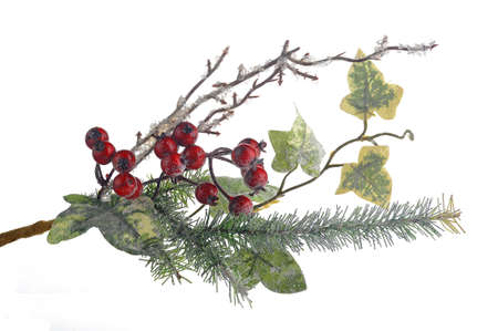 Christmas evergreen spruce tree with fresh snow isolatedの写真素材