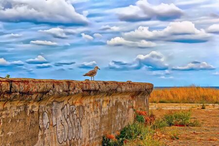 A brown gull stands on an old concrete wallの写真素材