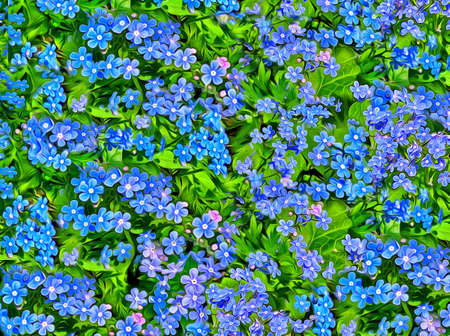Carpet of lovely little blue flowers with green leavesの写真素材