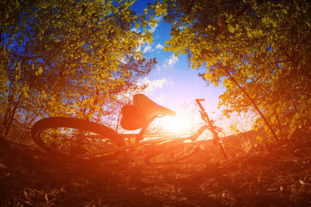 Beautiful scene of bike on sunset in the forest