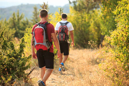 PIcture of a two hikers walking in the forestの写真素材