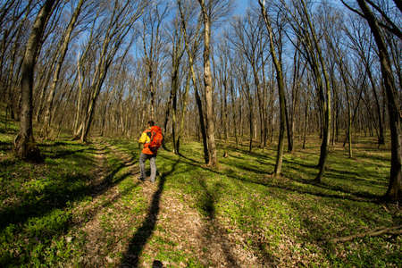 Active healthy man with backpack hiking in beautiful forestの写真素材