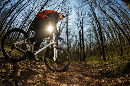 Cyclist Riding the Bike on the Trail in the Beautiful Spring Forest Wide Angle