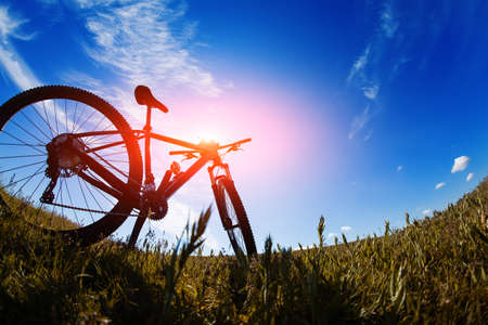 bicycle in meadow during sunset with shallow dept of fieldの写真素材