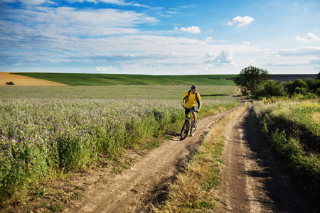Young man cycling on a rural road through green summer meadow during sunsetの写真素材