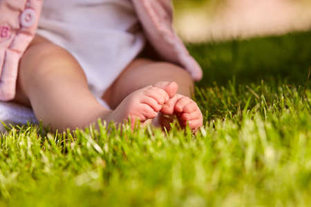 Small baby feet on the green grass at summer sunshiny day in the park. Cute baby in the white clothing. Horizontal croped photo. Concept of the happy babies.の写真素材