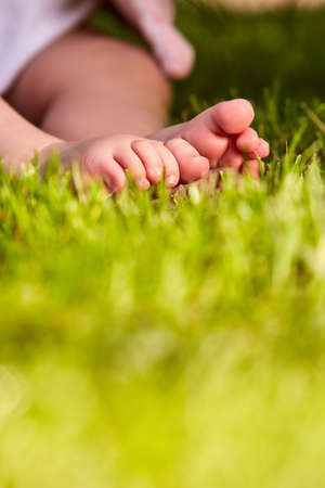 Baby feet in the green grass at summer warm day in the city park. Cute part of baby body. Close-up and vertical photo. Babies backgrounds. Concept of the happy babies.の写真素材