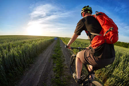 Rear view and close-up of the cyclist riding mountain bike on the summer trail.の写真素材