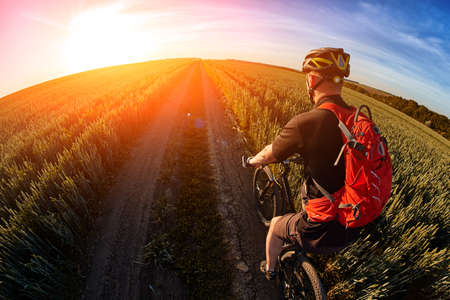 Rear view and close-up of the cyclist riding mountain bike on the summer trail.の写真素材