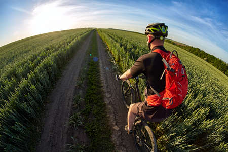 Rear view and close-up of the cyclist riding mountain bike on the summer trail.の写真素材