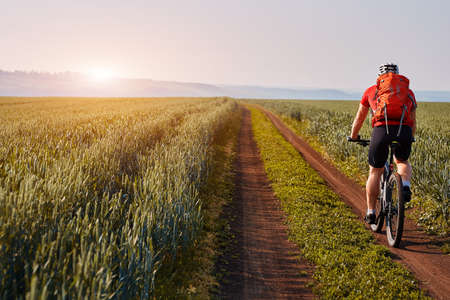 Rear view of the young cyclist riding mountainbike on the beautiful summer trail on the field.の写真素材