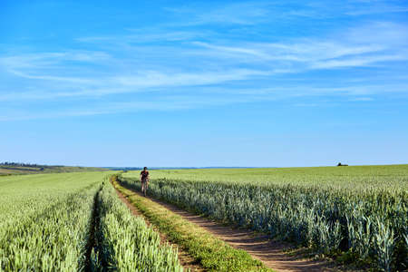 Attractive one cyclist on mountainbike on path near green fields in the countryside in the summer...