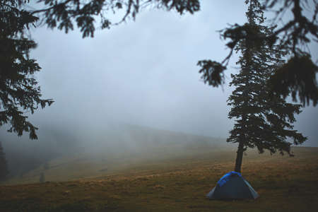 tent near the old hut of moss in the wild alpine spruce forestの写真素材