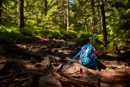 Travel backpack on the wooden bench in the forest. Outdoor wanderlust items. Travel, tourism and...