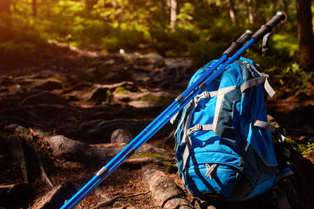 tourist backpack at the summer forestの写真素材